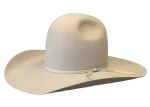 Walker Yellowstone Hat